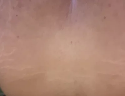 Im a Lovers of Cocks