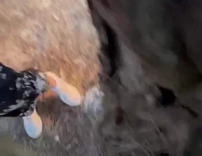 Amateur Guys Cruising for Sex