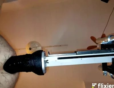 Mr. Hankey's Dragon Dildo Xl Full Insertion Doggy Anal Fucking Machine
