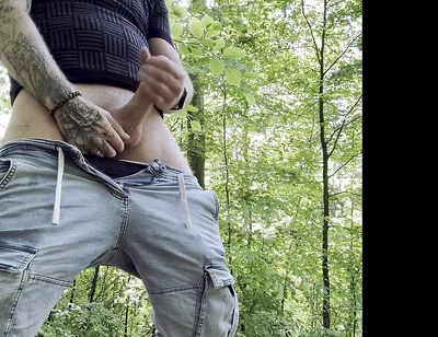 Hot Break in the Forest