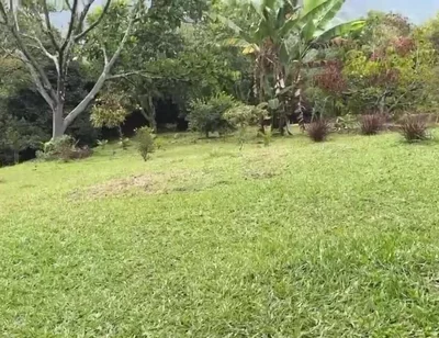 Horny Guy with Glasses Shows You His Morning Erection and Masturbates Outdoors - Andcristian