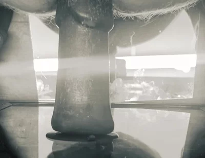 Creaming Arsehole Pounding