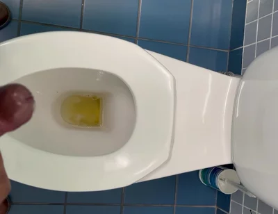 Jerking off in the Office Washroom