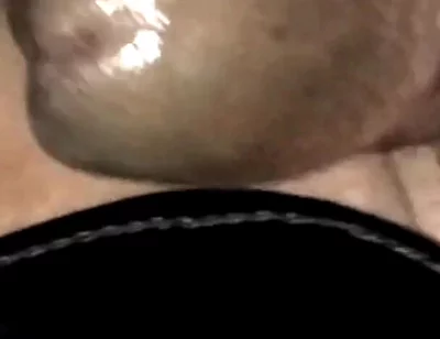 Legolas in Vagina Bucana Integral