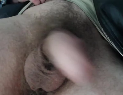 Alpha Male, Pubic Hair, Dominance, Sperm