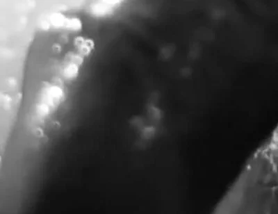 Stylish Compilation of Masturbation Shots - Self Shot Big White Cock and Cum