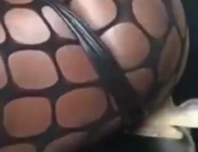 Fishnet Bodysuit Black Muscle Rides White Dildo