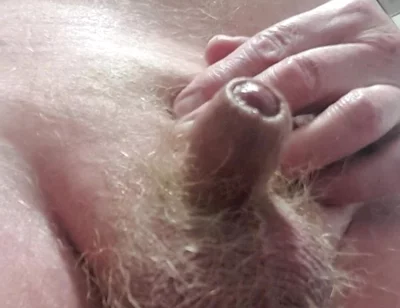 My Tiny Dick Show