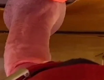 Thick Stepdaddy Cock Gets Tongue & Lip Worship - First Load Too Early Down the Throat, Second in Cum Glass