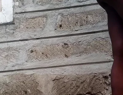 Naughty Horny Boy Fucking His Asshole with a Big Dildo Outside