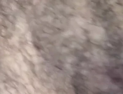 Some Fun Nipple Stuff for Titty Tuesday!