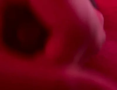 Red Golden Perish Golden Sperm Shot