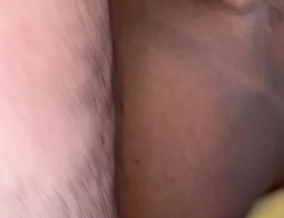Lobo & Bear Vs Toro