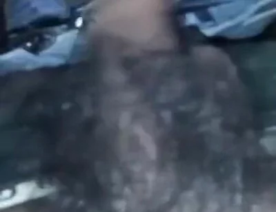 Sexy Video
