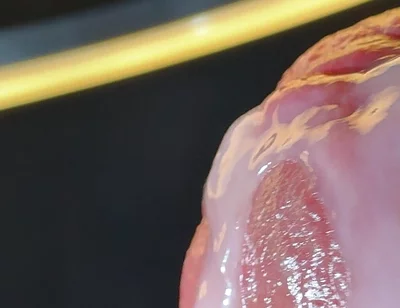 Wet Penis Gets Masturbated