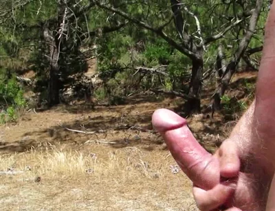 Nude Wank in the Woods and Fields 2
