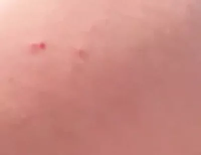 My Big Ass Is Way Better Than a Woman’s, and It Never Gets Pregnant.