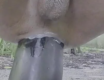 Extreme Pleasure