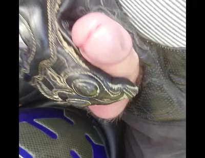 Biker jerking in the forest