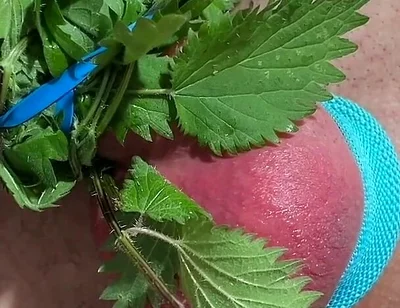 Cum with Nettles Inside Dick