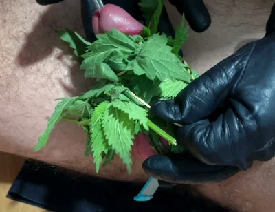 Cum with Nettles Inside Dick