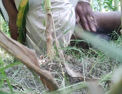 The Village Boy Went to the Cornfield and Hit Him Hard