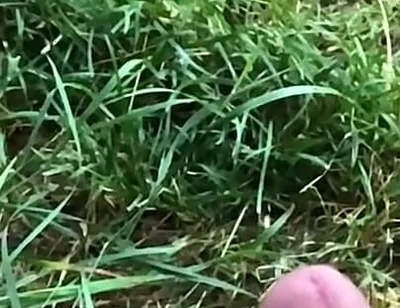 Enjoy This Slowmo. Tomorrow a Short BJ Clip Will Come:d