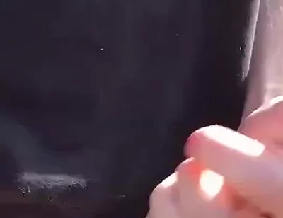 The Sunshine