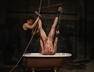 Tryp Hangs Inverted Over A Tub Of Cold Water