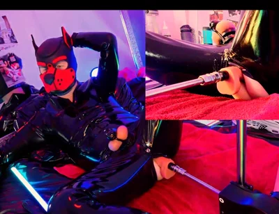 Nicolaus Rubber Show with Pet Mask