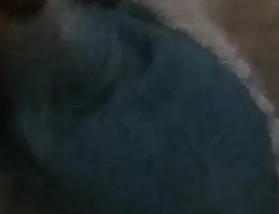 Who Wants My Dick?