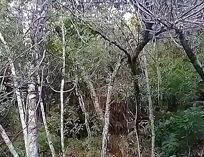 I Went to the Waterfall and Showed off Before Someone Came and Caught Me.