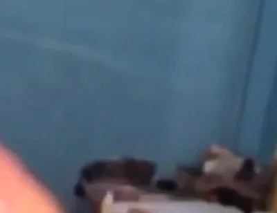 Haydenbbc Video