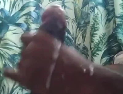 Play Time