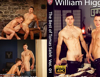 The Best of Tomas Salek Vol. 01