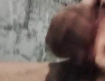 A Rare Sensation on the Cock