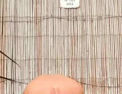 Anal Stretching