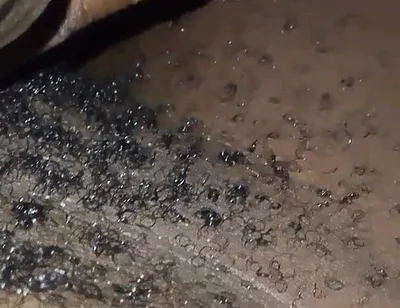 Inside Bedroom Sex