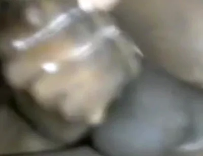 Stroking My BBC Fingering My Arsehole Cumming Hard