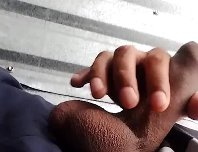 Cum Street Milking Day