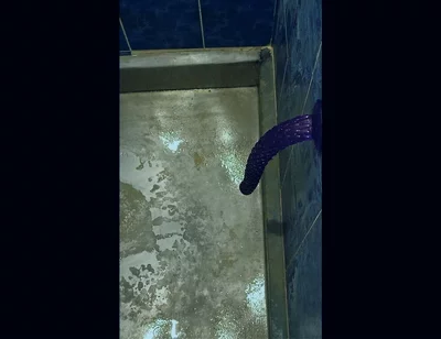 Back in the Shower, Playing with My Anus Again...