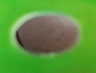 You Can See My Ass Through the Holes in the Green Screen