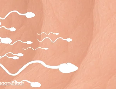 Yaoi: Spermtazoid Game: Level up in Her Stuffed Little Ass