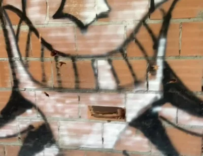 Amateur Boy Caught Bare Ass in Abandoned Building