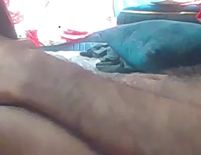 Solo Desi Pakistan Handjob