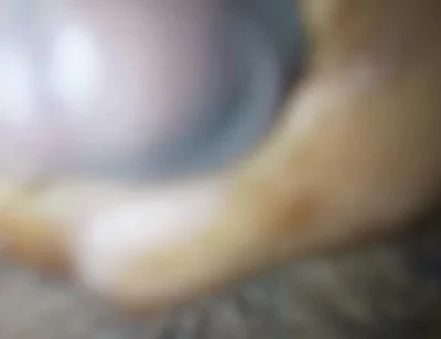 New Video