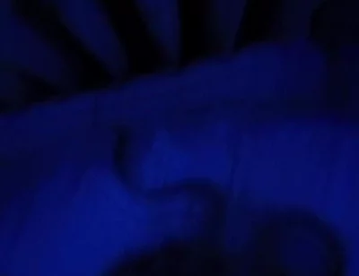 Blue Romance, Blowjob From a Sensual Blonde