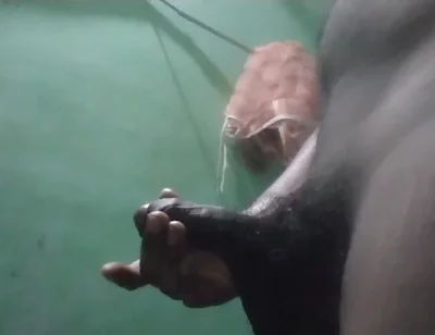 Bangladeshi Gay Sex Real Story Beanglii