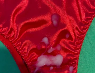 Cum on Wife’s Panties 15