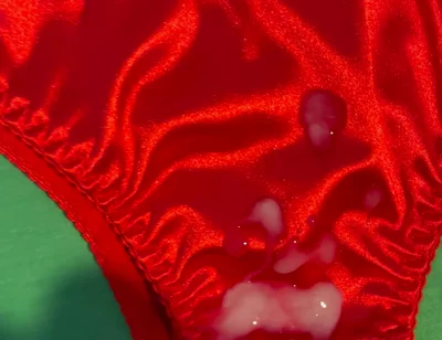 Cum on Wife’s Panties 15